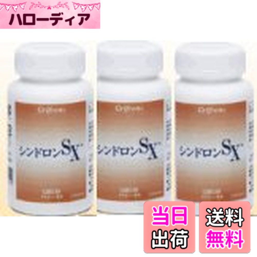 【貨物輸送無料】シンドロンSX 3本仕掛ける