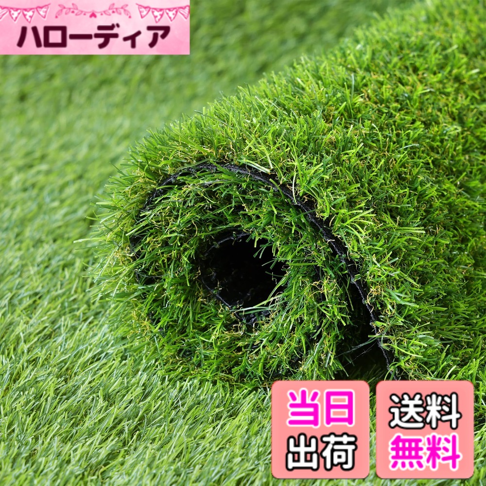 【送料無料】人工芝 ロール 幅50 0.5mx10m リアル感 芝丈30mm 高耐久 透水タイプ 防草シート 24本ピン付き フレッシュグリーン (0.5x10m)｜ハローディア店