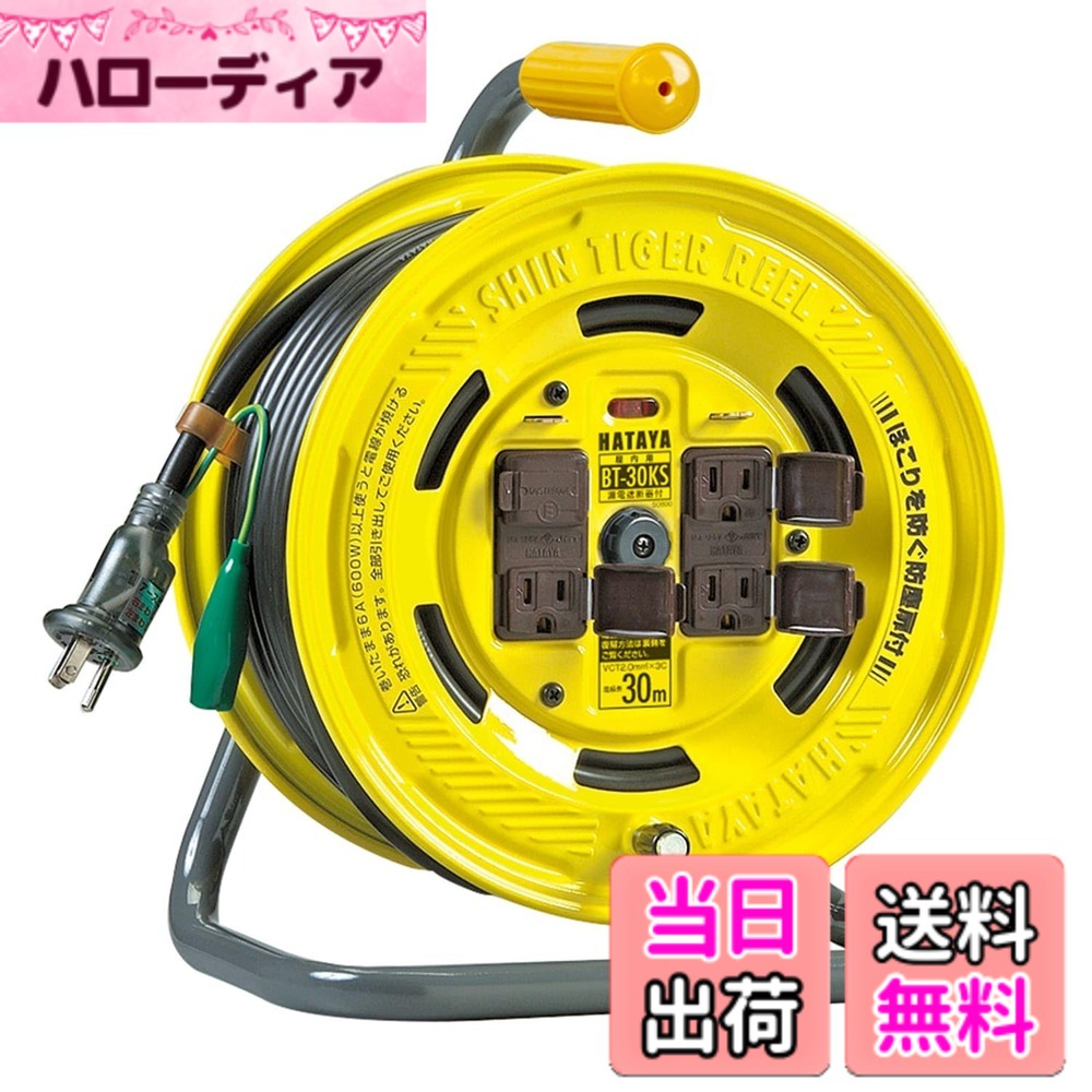 【貨物輸送無料】ハタヤ (HATAYA) 吊りひも木管 屋内用 100V型 吊りひも30m 太さ2.0 短絡立ちはだかる器 舞い降りる付 フキュートビプラグ遣りくち 気温検出器内蔵 (電話線溶ける押しとどめる役立つこと) 差し込み4個 差し込み防塵扉付 飛行士照明ランプ内蔵 身寄り用 工業プラント用 組み上げる一こま シンタイガーリール BT-