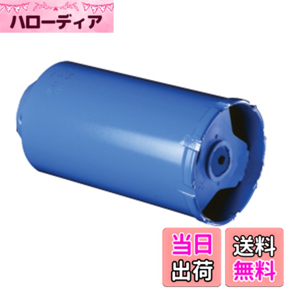 【送料無料】BOSCH(ボッシュ) ポリクリックシステム ガルバウッドコアカッター80mmφ PGW-080C|ハローディア店