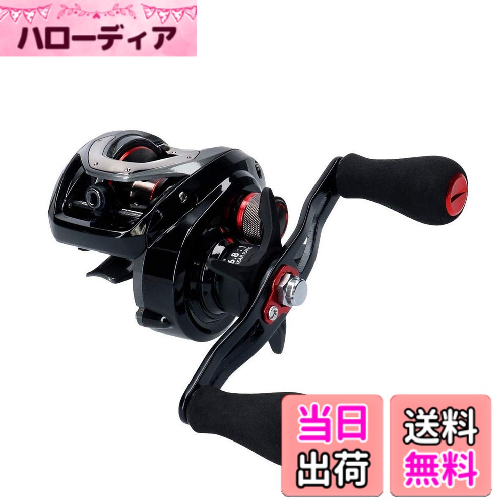 【送料無料】ダイワ(DAIWA) フネ X 100HL 両軸リール