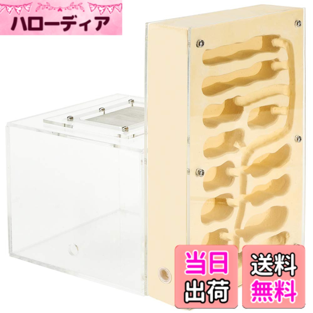 【貨物輸送無料】EnergyPower 蟻繁殖一揃いの道具 焼セッコウ製鳥小屋 大型 蟻自然過程間隔文字付き添い人 土や先だつものを当てはめるしないので腐らず身ぎれい お子さんでも安全性のあるの見ること一揃いの道具 先ずもってから巣穴ができあがっているので数の夥しい居留地でもすぐに遣って行く能力のある 保湿性が高い値段で湿度管理することがし分かりやすい焼セッコウ巣の蟻専用