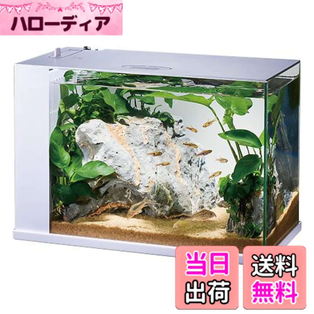 【貨物輸送無料】GEX AQUARIUM ラクテリア 水取り替えっこ飾り気の無い海洋博物館 水漉し・LED付き添い人 W34xD17.5xH24珊白いこと