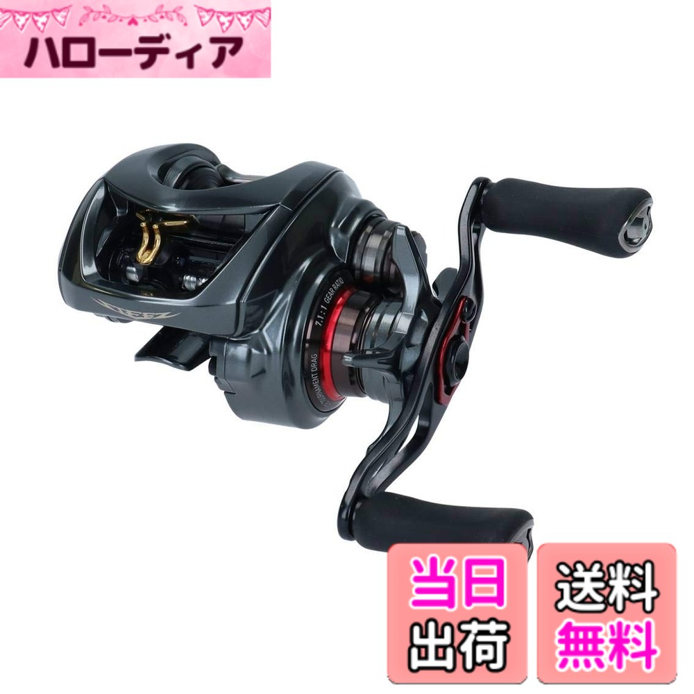 【送料無料】ダイワ(DAIWA) ベイトリール 19 スティーズ CT SV TW 700SHL(2019モデル)