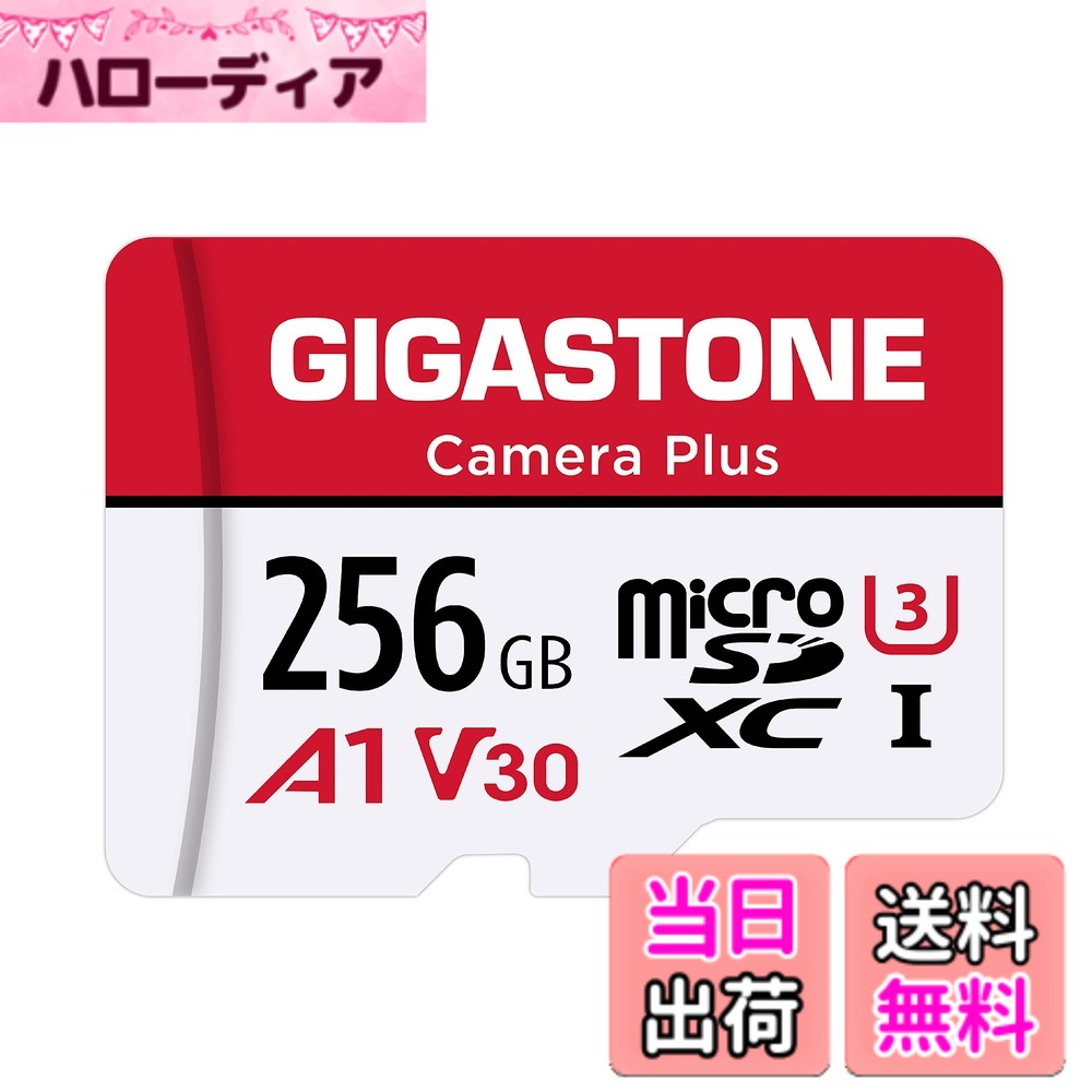 【貨物輸送無料】【5年】GIGASTONE マイクロsd歌留多 256GB Camera Plus 盛りだくさん固定ディスク microSDXC UHS-I U3 A1 V30 C10 100MB/s 行動写真機 運動競技写真機 弾丸道路 4K UHD 画像 SDアダプタ1枚付き添い人