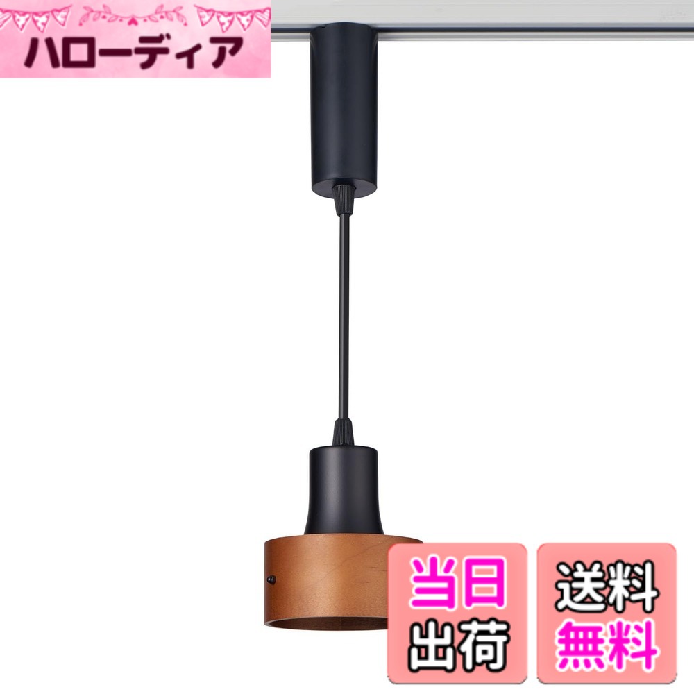 【貨物輸送無料】朝日電器 ELPA LEDライティングバー用点火装置 LRS-PW01L(BK)