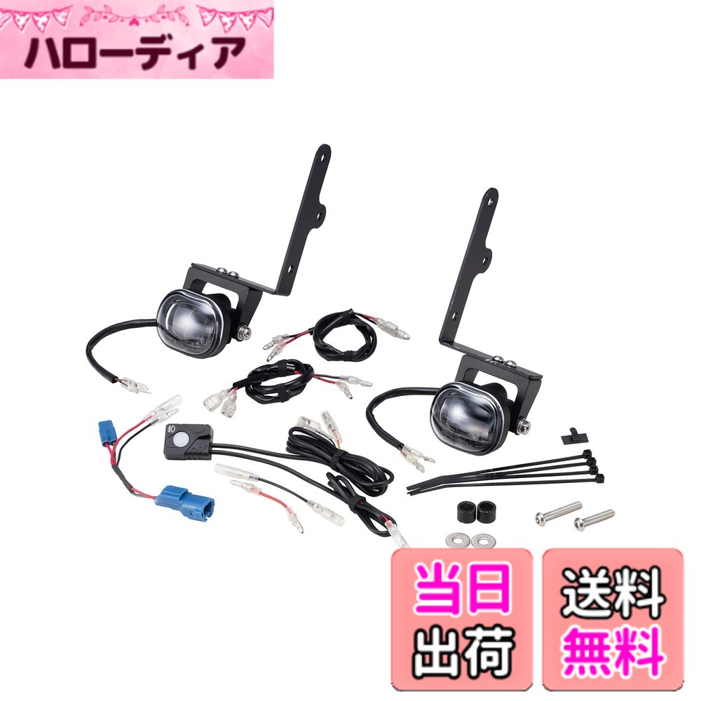 【送料無料】キジマ(Kijima) ハンターカブ CT125('20-/JA55/JA65) バイクパーツ フォグランプキット LED 補助 ライト 防水 IP67 18W(2灯計) 5000-6200K ホワイトランプ/ブラックステー 205-6158