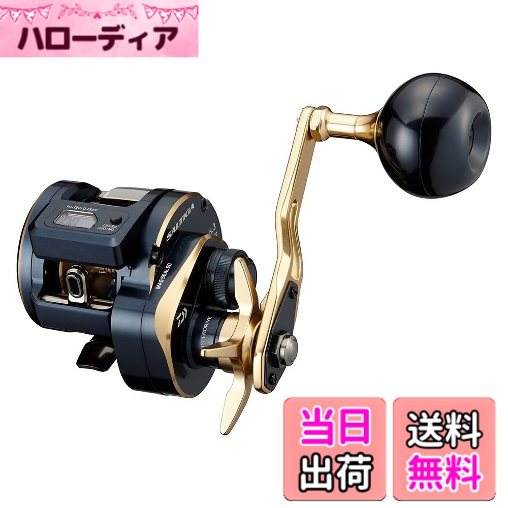 【送料無料】ダイワ(DAIWA) 21 ソルティガIC 300L｜ハローディア店