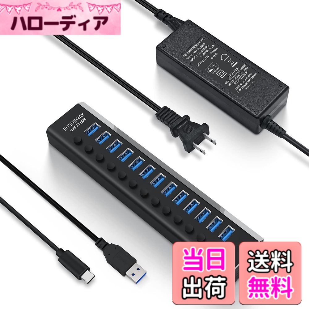 【送料無料】ROSONWAY USB ハブ 3.1 Gen2 10Gbps 13ポートアルミ製 72W USB HUB セルフパワー USBケーブルとType Cケーブル 付き 12V/6A ACアダプタ 独立スイッチ 付き(RSH-A13)