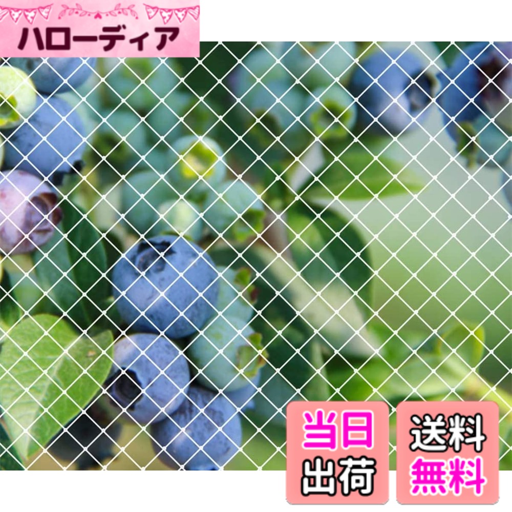 【送料無料】防鳥 ネット 鳥よけネット園芸つるネット 農業用品 家庭菜園ネット 田畑 [YANHAIDIDAI]果樹園 防鳥網 カラスよけ 鳩避けグッズ 果樹守りや防獣や防護ネット 猫脱走防止対策 ネット (15Mx15M)