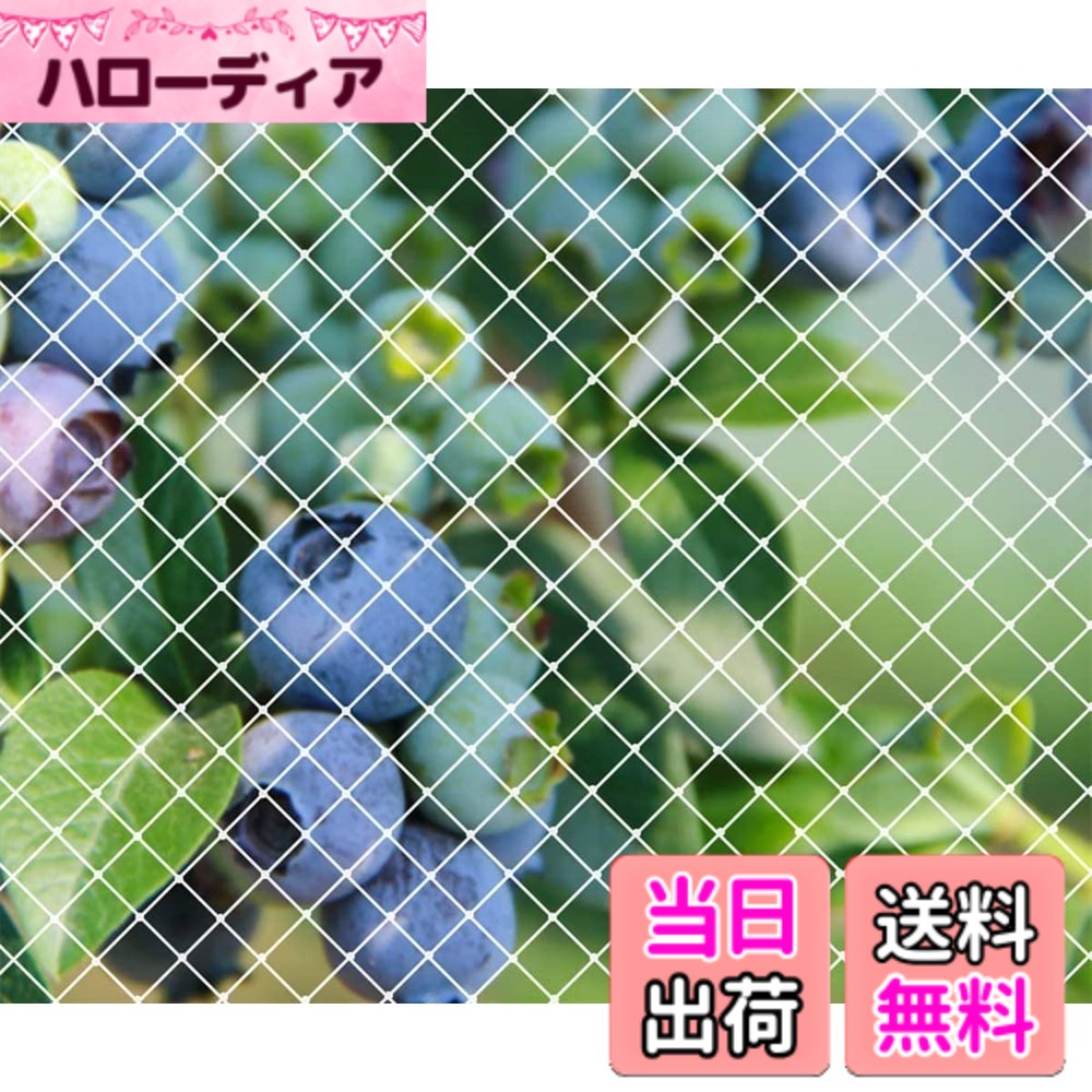 【送料無料】防鳥 ネット 鳥よけネット園芸つるネット 農業用品 家庭菜園ネット 田畑 [YANHAIDIDAI]果樹園 防鳥網 カラスよけ 鳩避けグッズ 果樹守りや防獣や防護ネット 猫脱走防止対策 ネット (7Mx10M)