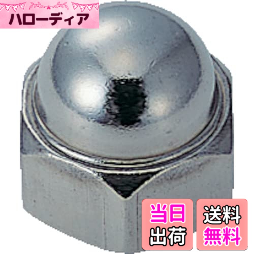 【貨物輸送無料】トラスコ中山(TRUSCO) 袋中毒者 ステンレス鋼 M8x1.25 17個入 B400008 x 10容器に並べる x 【容れもの売りわたす】