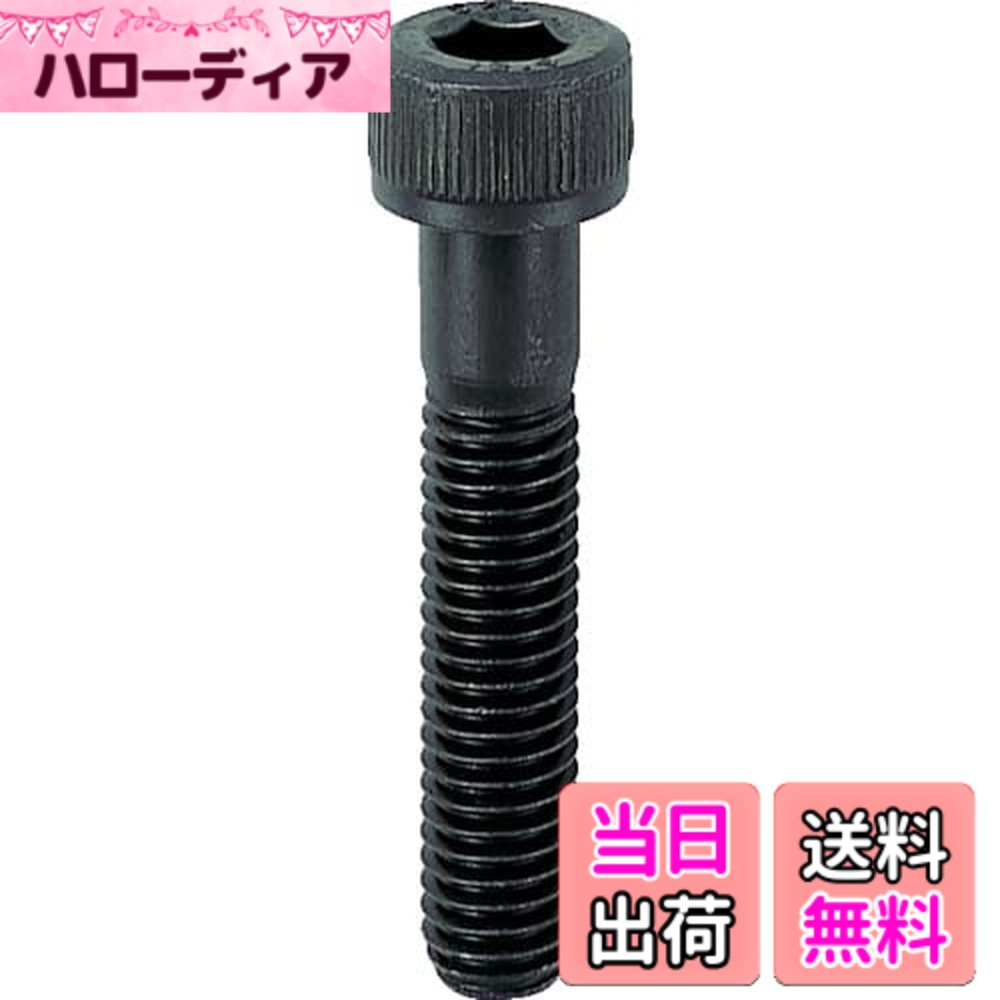 【貨物輸送無料】トラスコ中山(TRUSCO) 六角穴付雄捩子 半螺子釘 B301665 黒染め M16x65 2本入 x 10容器に並べる 【容れもの売りわたす】