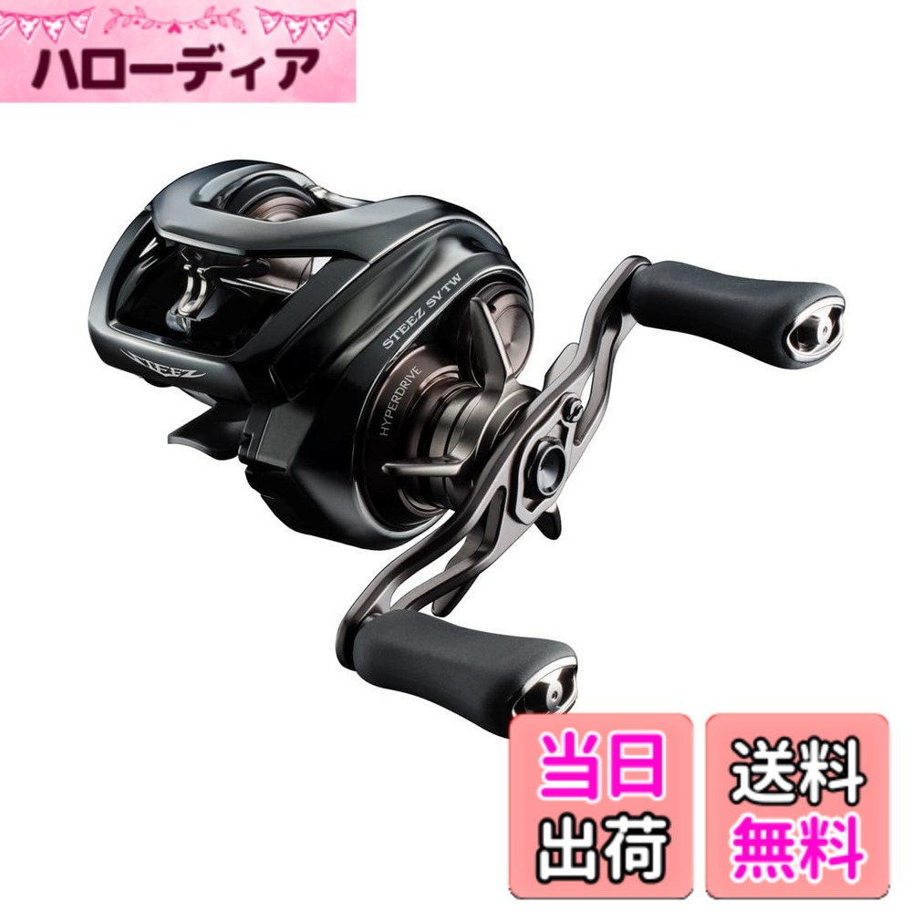 【送料無料】ダイワ(DAIWA) バスベイトリール 24STEEZ(スティーズ) SV TW 100XHL (2024年モデル)