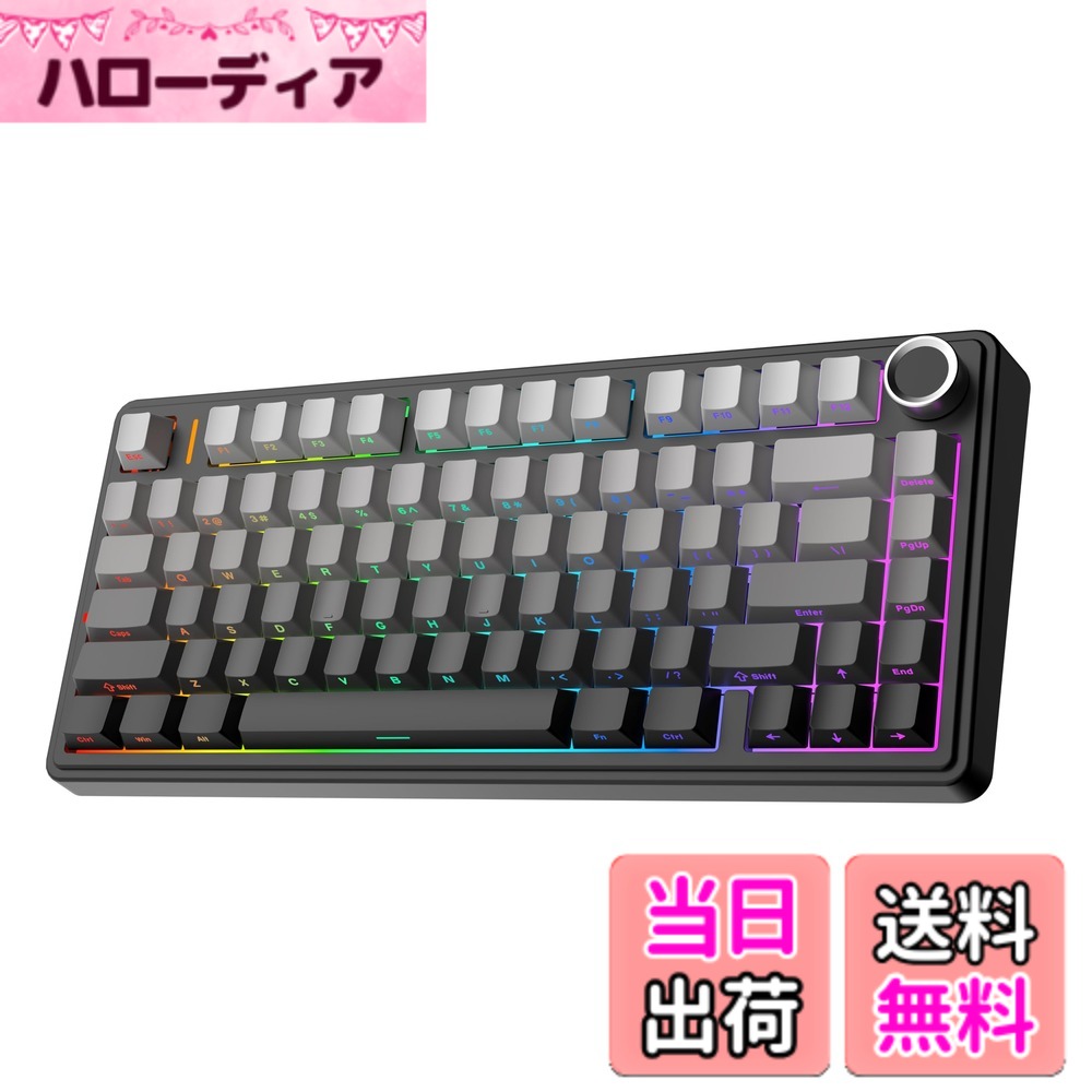 【送料無料】EPOMAKER x Aula F75 ゲーミングキーボード ガスケット メカニカルキーボード 5層パッド＆ノブ付き 75% ワイヤレス ホットスワッパブル Bluetooth/2.4GHz/USB-C RGB 技適認証取得 (Black Gradient, LEOBOG Reaper Switch)