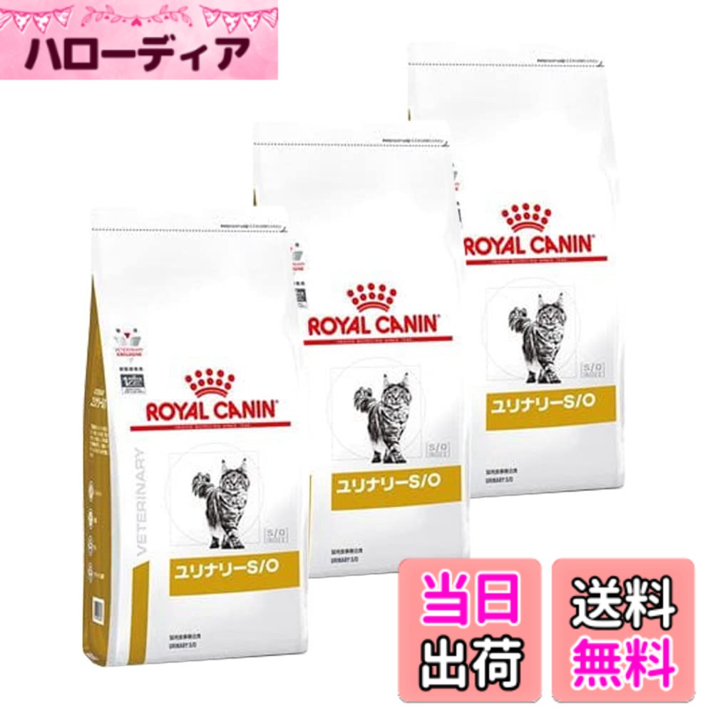【送料無料】【3袋セット】ロイヤルカナン 食事療法食 猫用 ユリナリーS/O ドライ 500g (旧 pHコントロール0 (ゼロ))|ハローディア店