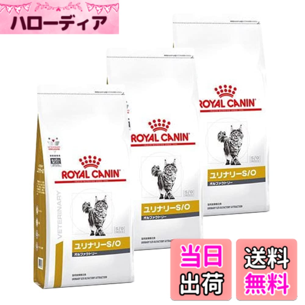 【送料無料】【3袋セット】ロイヤルカナン 食事療法食 猫用 ユリナリーS/O オルファクトリー ドライ 500g (旧 pHコントロール2 フィッシュテイスト)｜ハローディア店