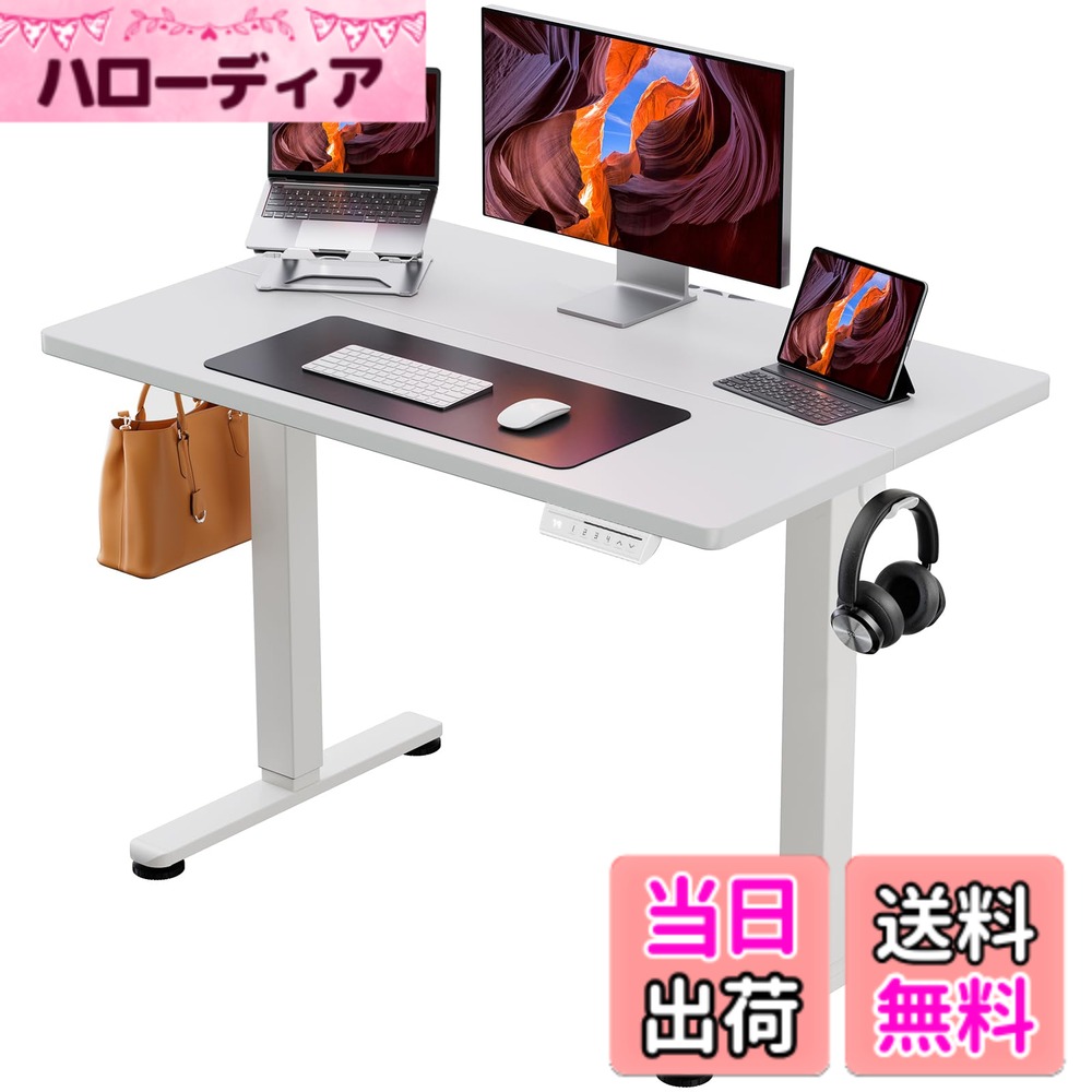 【送料無料】ErGear 電動 オフィスワークテーブル 色:白(天板) / 白(足)、サイズ:100*60cm|ハローディア店