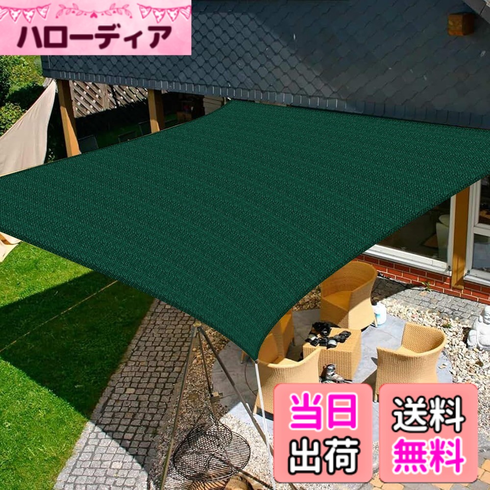 【貨物輸送無料】SUNNY GUARD日おおい 疑しさ ３角形タープ 日がさ 色：緑であること、大きさ：4x6m
