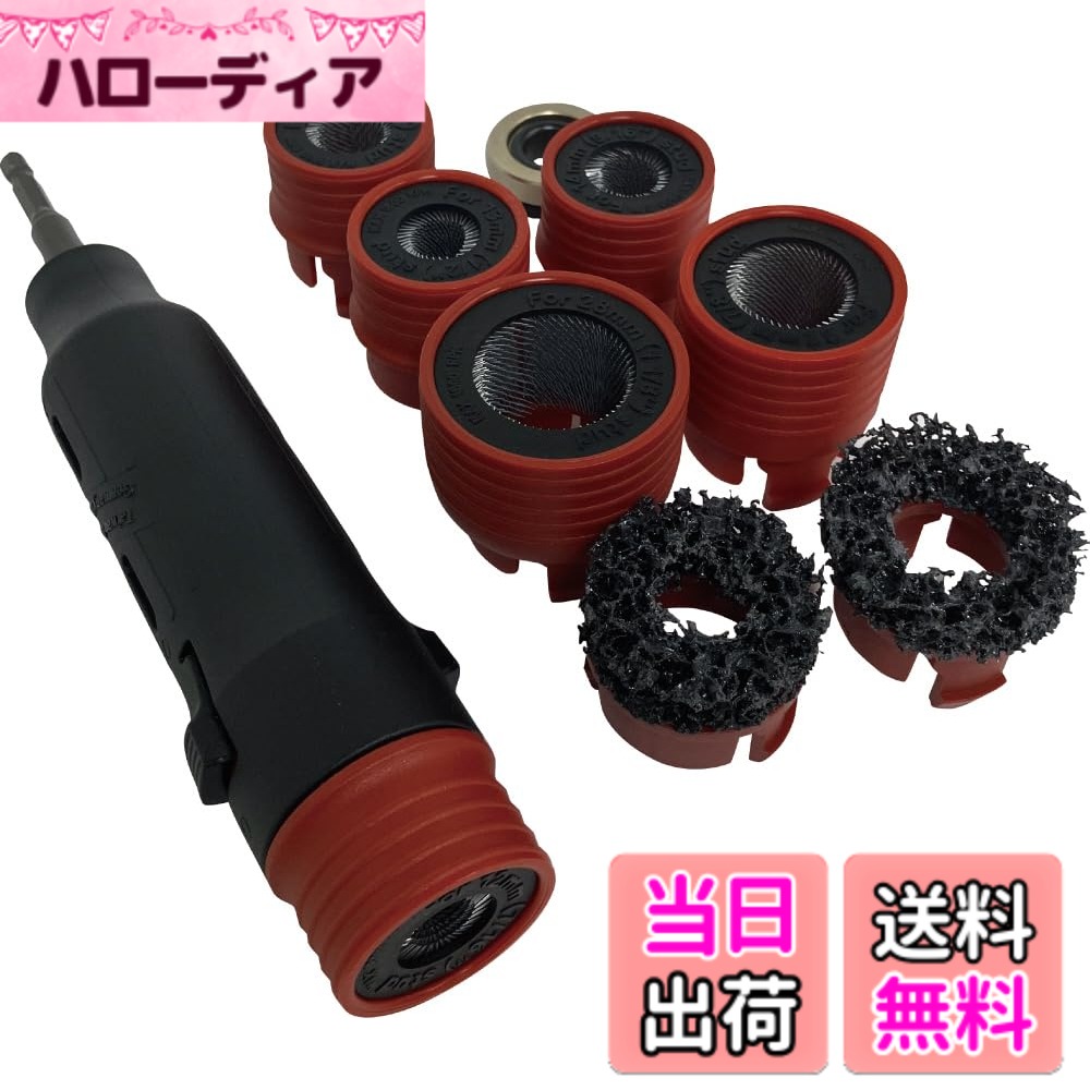 【送料無料】SIGNET シグネット 1/2SQ ボルトクリーニングセット plus 46941 色:メッキ|ハローディア店