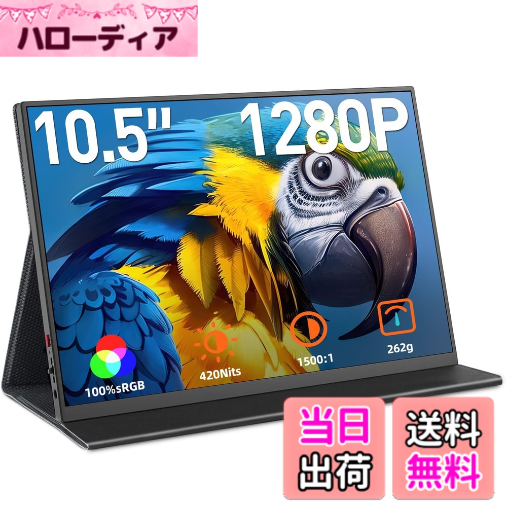 【送料無料】CASKING モバイルモニター 色：Black-01-10.5&rsquo;&rsquo;｜ハローディア店