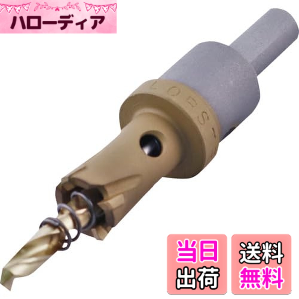 【送料無料】エビ 超硬ホルソー サイズ:刃径(mm):17