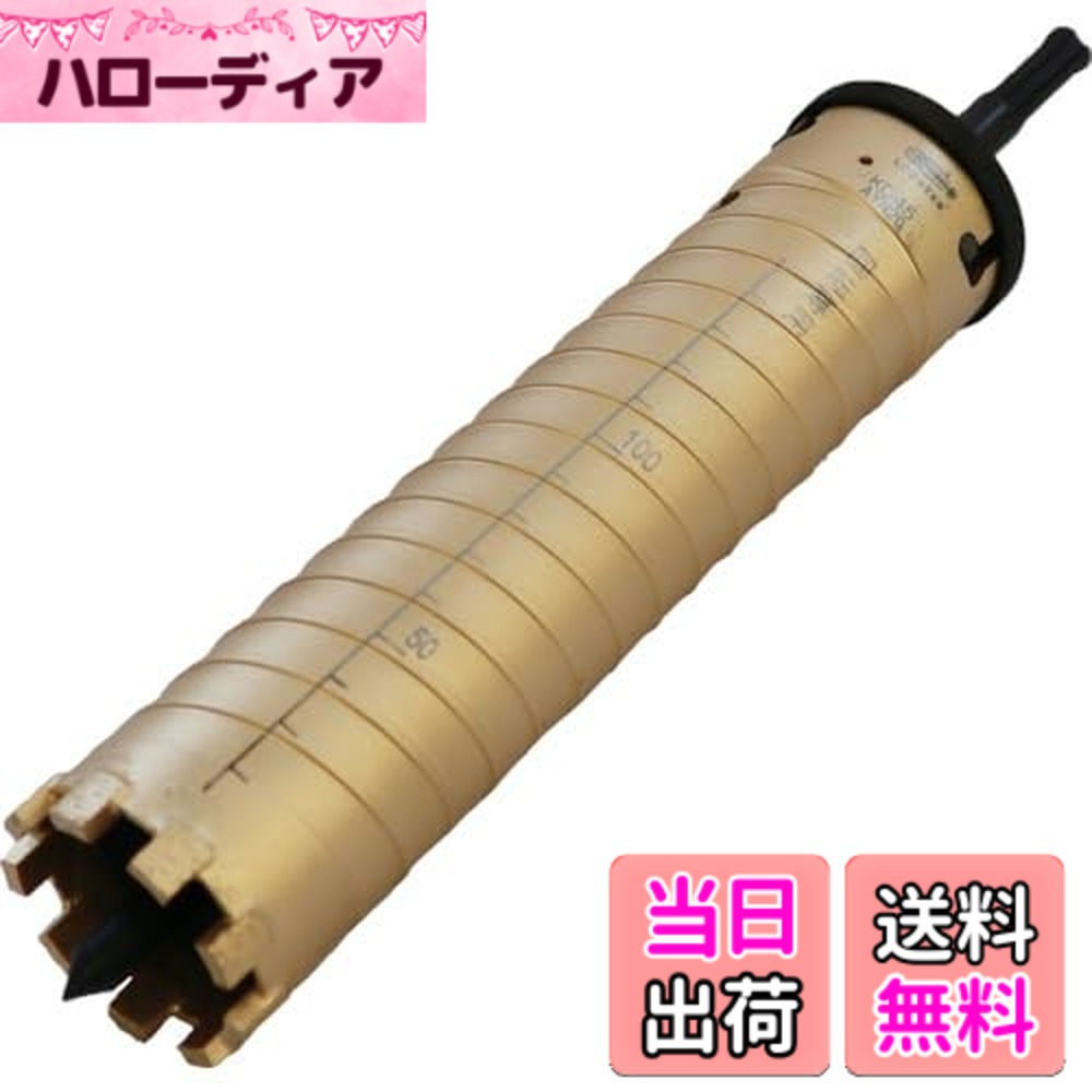 【送料無料】エビ ダイヤモンドコアドリル SDSシャンク サイズ:刃径(mm):45|ハローディア店