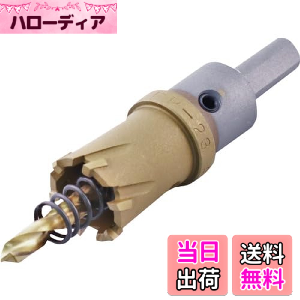 【送料無料】エビ 超硬ホルソー サイズ：刃径(mm):23｜ハローディア店