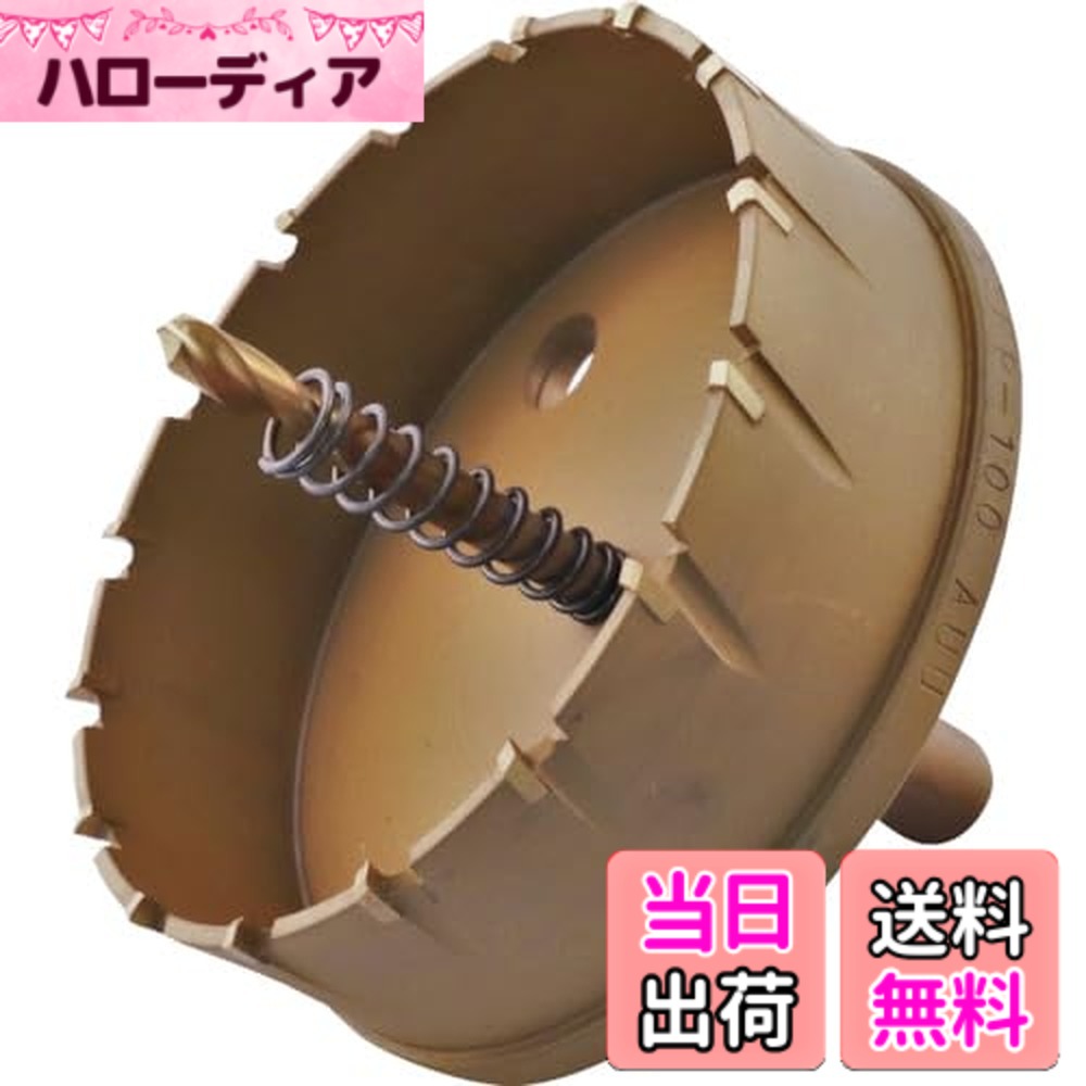 【送料無料】エビ 超硬ホルソー サイズ：刃径(mm):100