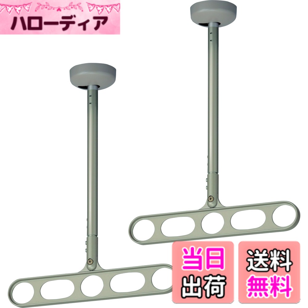 【送料無料】川口技研 物干し ホスクリーンZ型 色：ライトブロンズ、サイズ：高さ:56cm~78cm 12,524円
