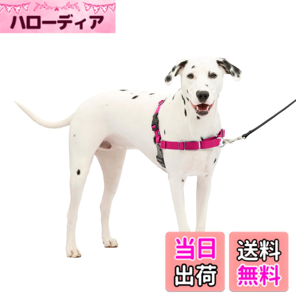 【送料無料】PetSafe（ペットセーフ） イージーウォークハーネス 犬用 引っ張り防止 散歩 トレーニング用ハーネス【サイズ カラー】 色：ラズベリー＆グレー、サイズ：ML