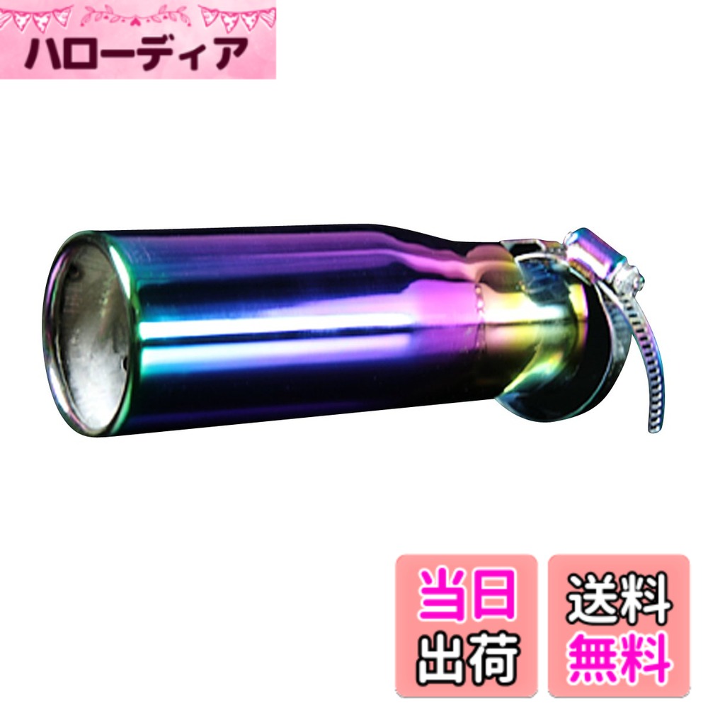 【送料無料】viz マフラーカッター 色：[04]、サイズ：取付可能外径:32mm~45mm｜ハローディア店