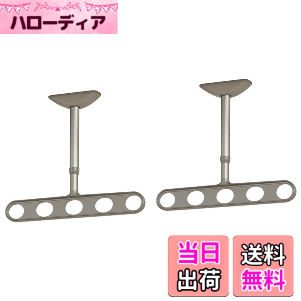 【送料無料】川口技研 軒天用物干し ホスクリーンZA/ZAN型 色：ステンカラー、サイズ：450ミリ