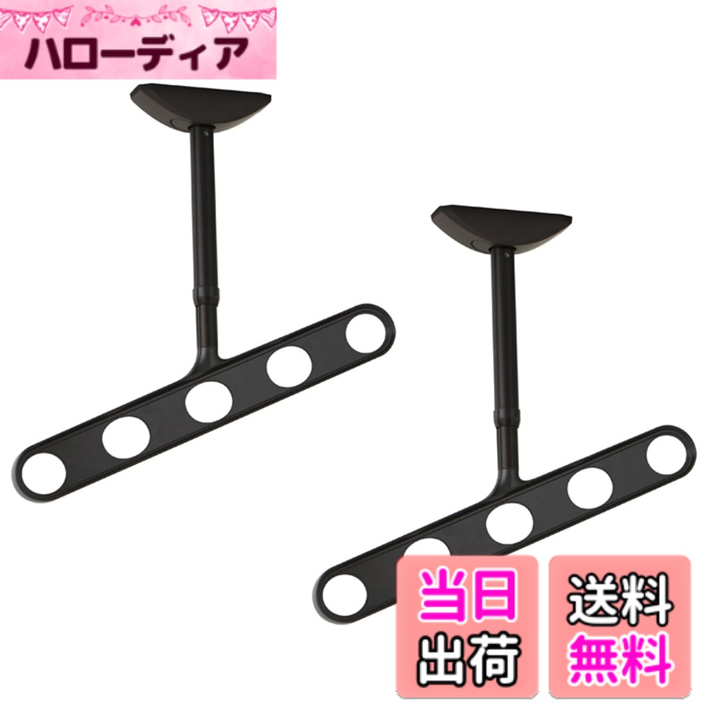 【貨物輸送無料】三角江技研 軒天用物干し ホスクリーンZA/ZAN型 色：靉靆たるブロンズ、大いさ：550粍
