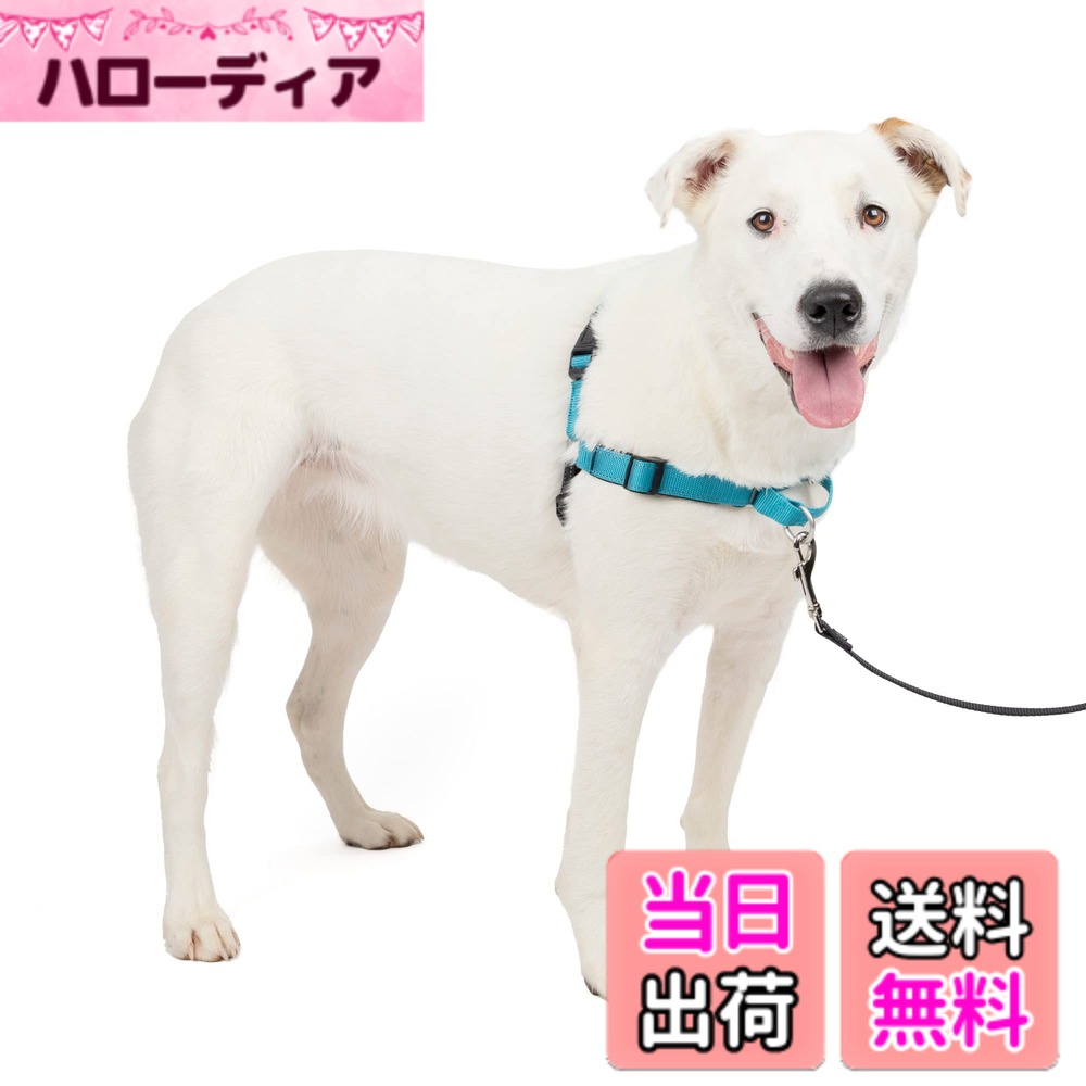 【送料無料】PetSafe（ペットセーフ） デラックス イージーウォークハーネス 犬用 引っ張り防止 散歩 トレーニング用ハーネス 色：オーシャンブルーxブラック、サイズ：M/L