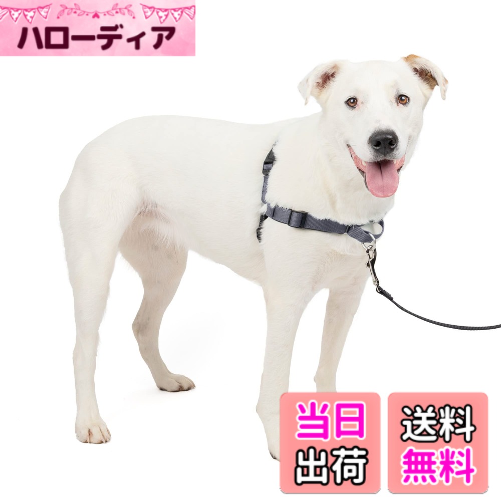 【送料無料】PetSafe（ペットセーフ） デラックス イージーウォークハーネス 犬用 引っ張り防止 散歩 トレーニング用ハーネス 色：スチールシルバーxブラック、サイズ：M/L