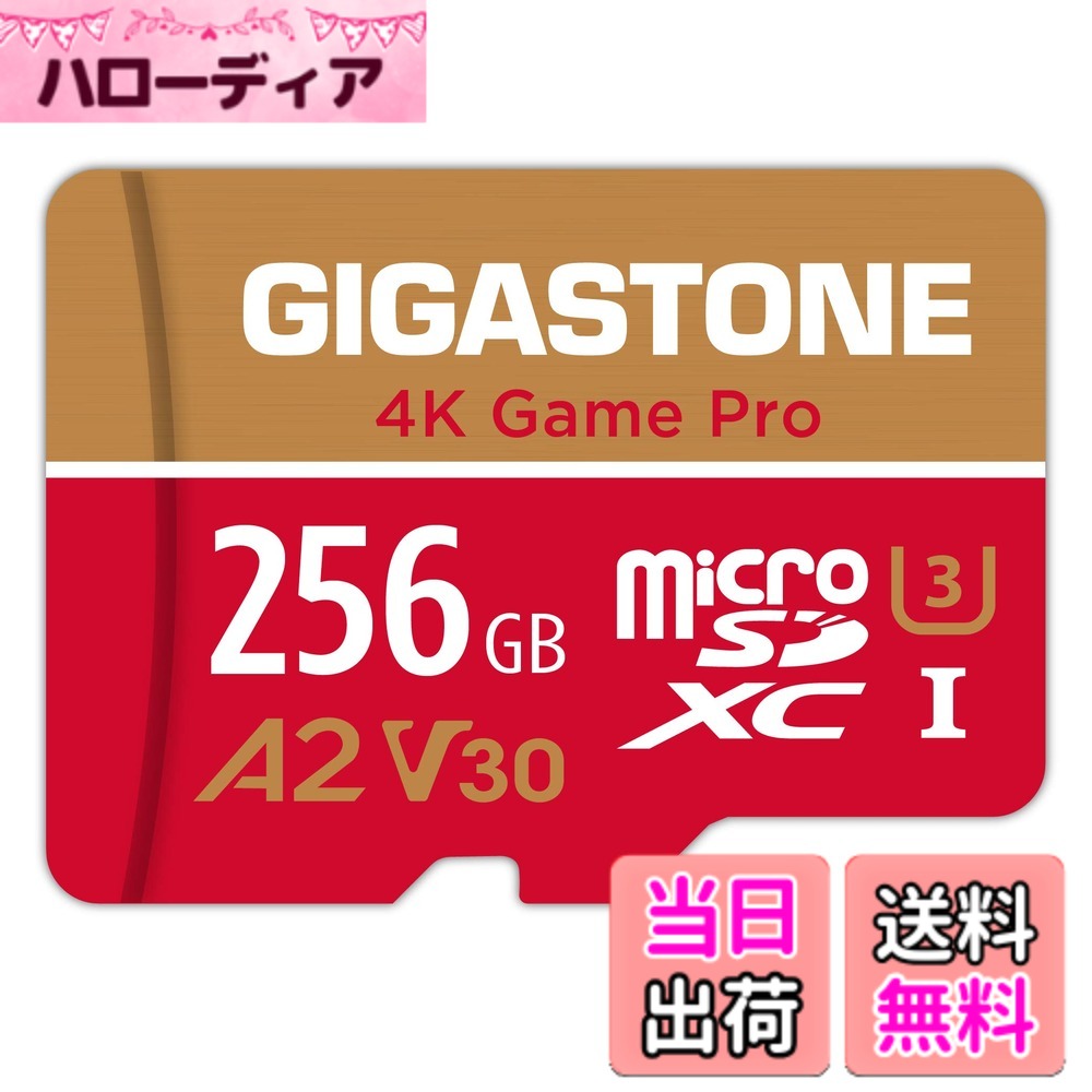 【貨物輸送無料】GIGASTONE マイクロsd歌留多 128-4-1 Core Group 色：256GB Game Pro 1枚仕掛ける、大きさ：4K GAME PRO