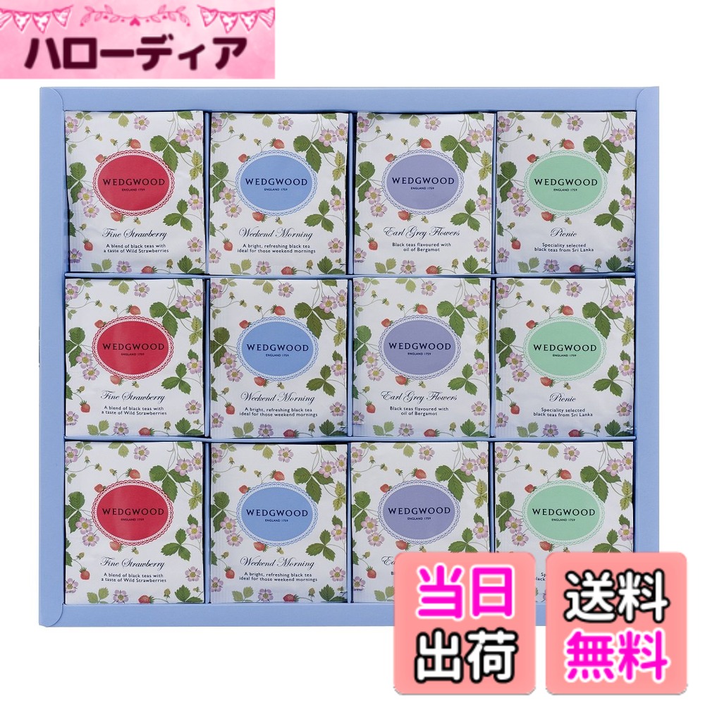 【送料無料】WSTgiftシリーズ サイズ：48個アソート