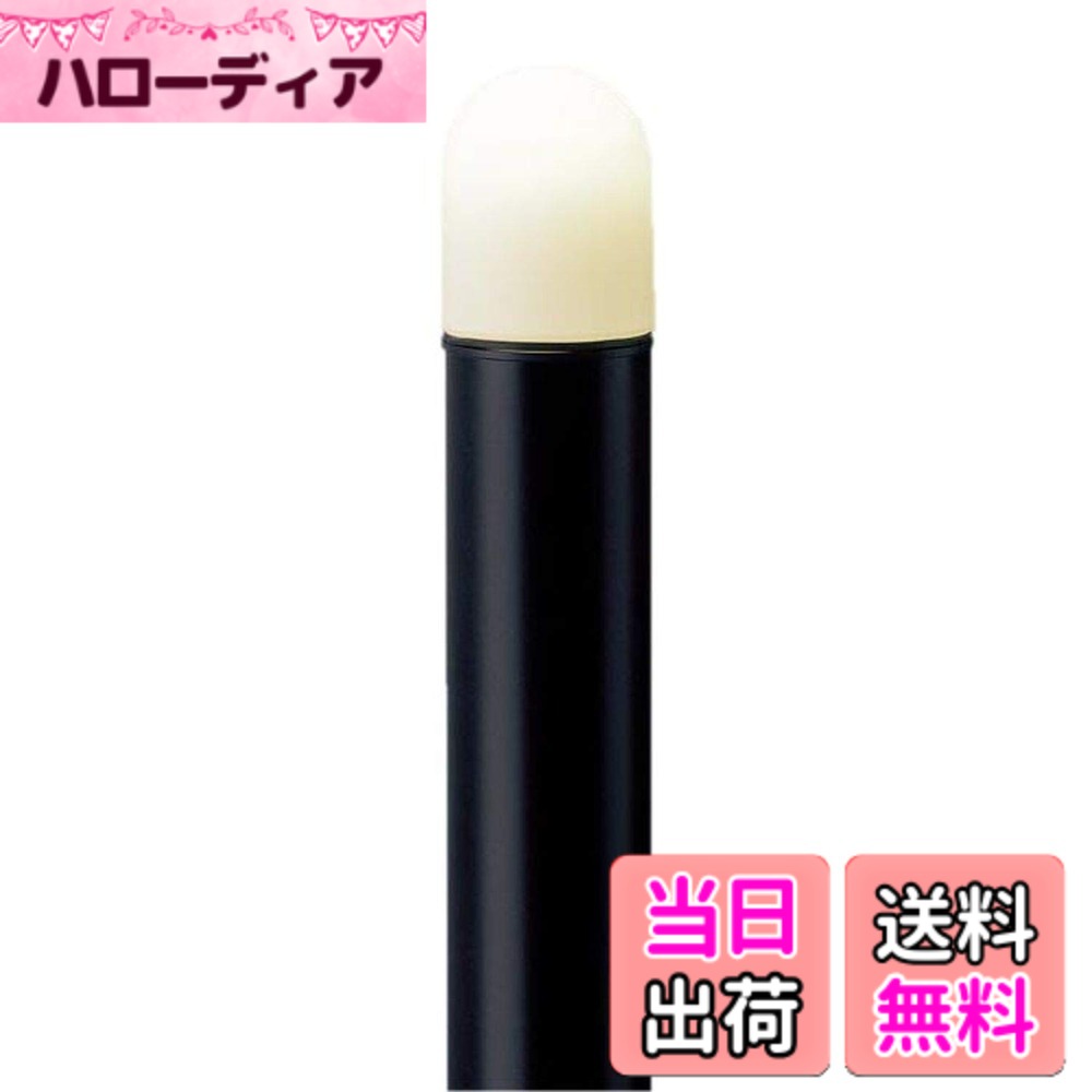 【貨物輸送無料】Panasonic エントランスライト用極点