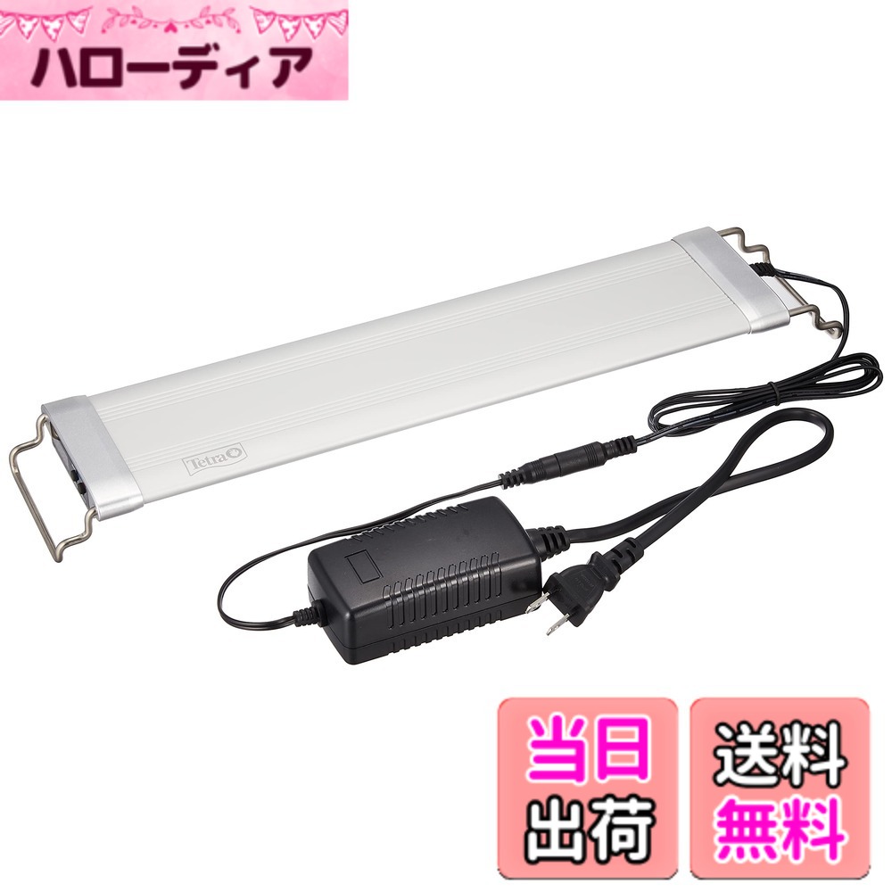 【貨物輸送無料】テトラ (Tetra) 海洋博物館 力強さLED割り増し金 大きさ：M