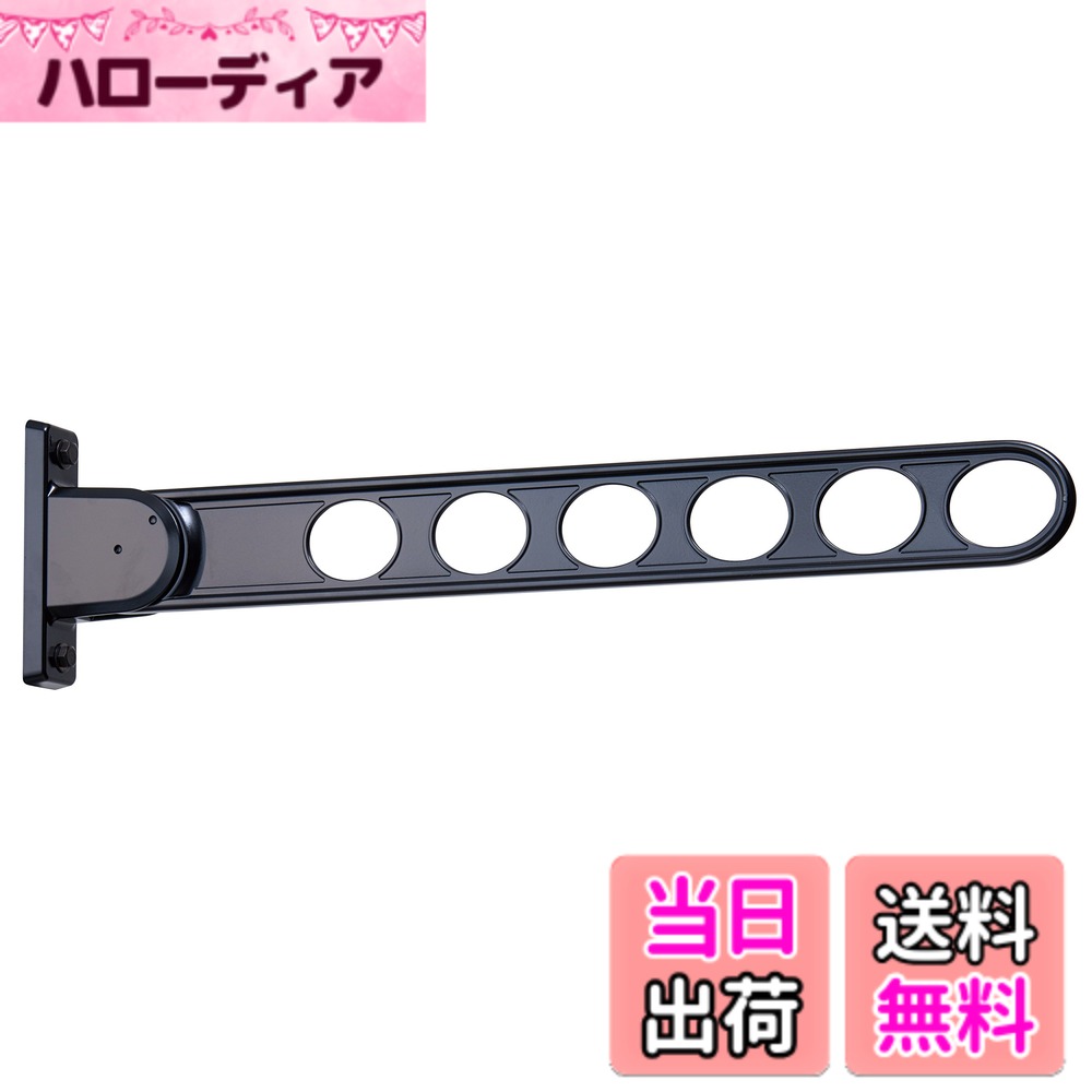 【送料無料】川口技研 物干しRK 色：ブラック、サイズ：アーム:65cm