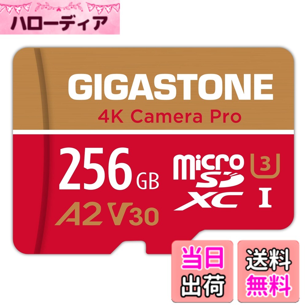 【貨物輸送無料】GIGASTONE マイクロsd歌留多 256-4-1 Core Group 色：256GB Camera Pro 1枚仕掛ける、大きさ：CAMERA PRO