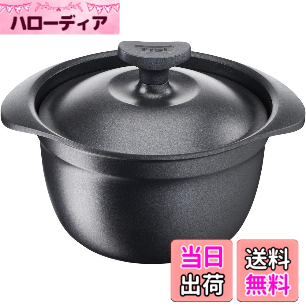 【送料無料】ティファール(T-fal) キャストライン アロマ シチューポット 色：ブラック、サイズ：2.6 L, 直径 16 cm
