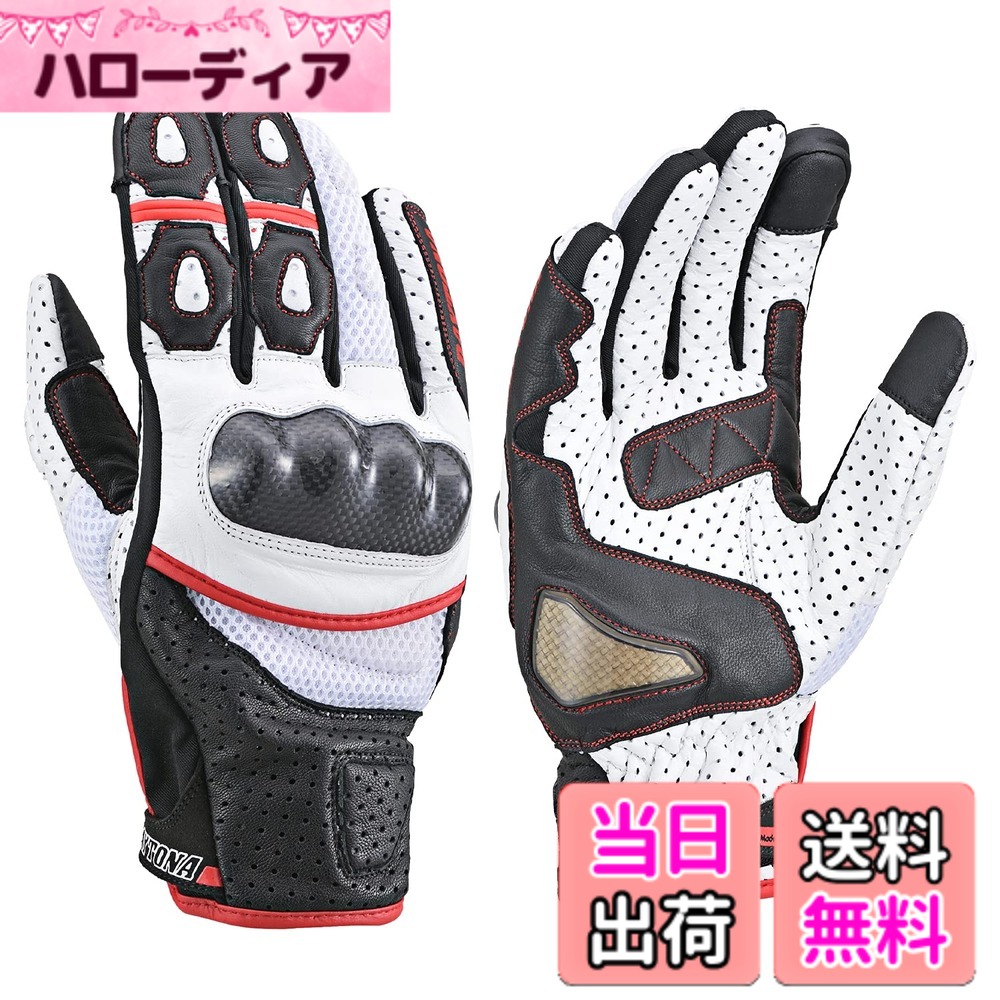 【送料無料】デイトナ(Daytona) バイク グローブ 夏 メッシュ 革(牛革/ヤギ革) 各種サイズ・カラー 色：[HBG-053] ブラック/ホワイト/レッド、サイズ：L