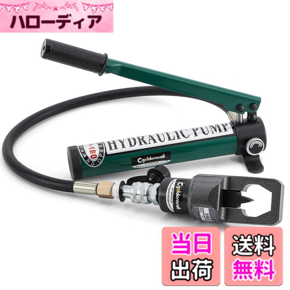 【貨物輸送無料】CGOLDENWALL ナットスプリッターM8~M41 油圧式ナットブレーカー 中毒者割り当て 錆び付き・かじり・腐食させるなどでねばり着くした中毒者取り外すFPY 色：揚水機有、大きさ：自然調整中毒者大きさ：27~41粍