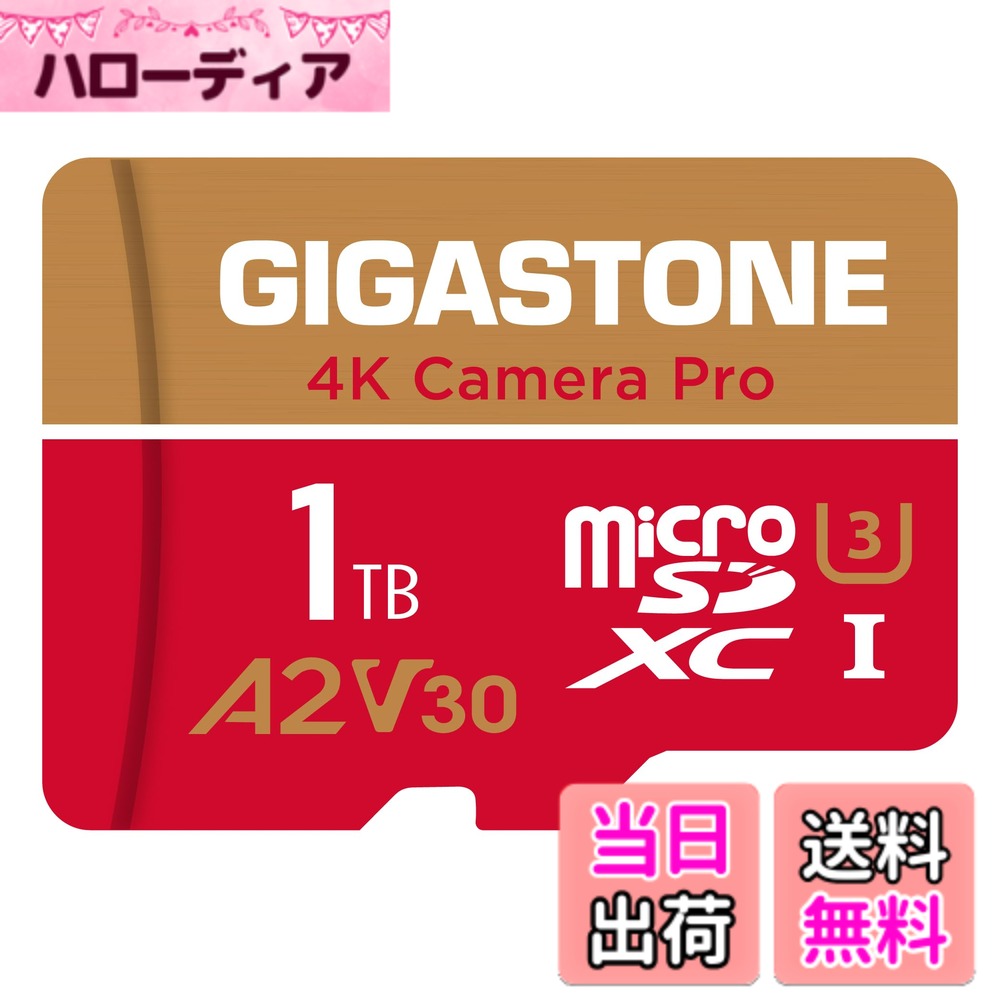 【貨物輸送無料】GIGASTONE マイクロsd歌留多 1結核症-4-1 Core Group 色：1結核症 Camera Pro 1枚仕掛ける、大きさ：Pro Series