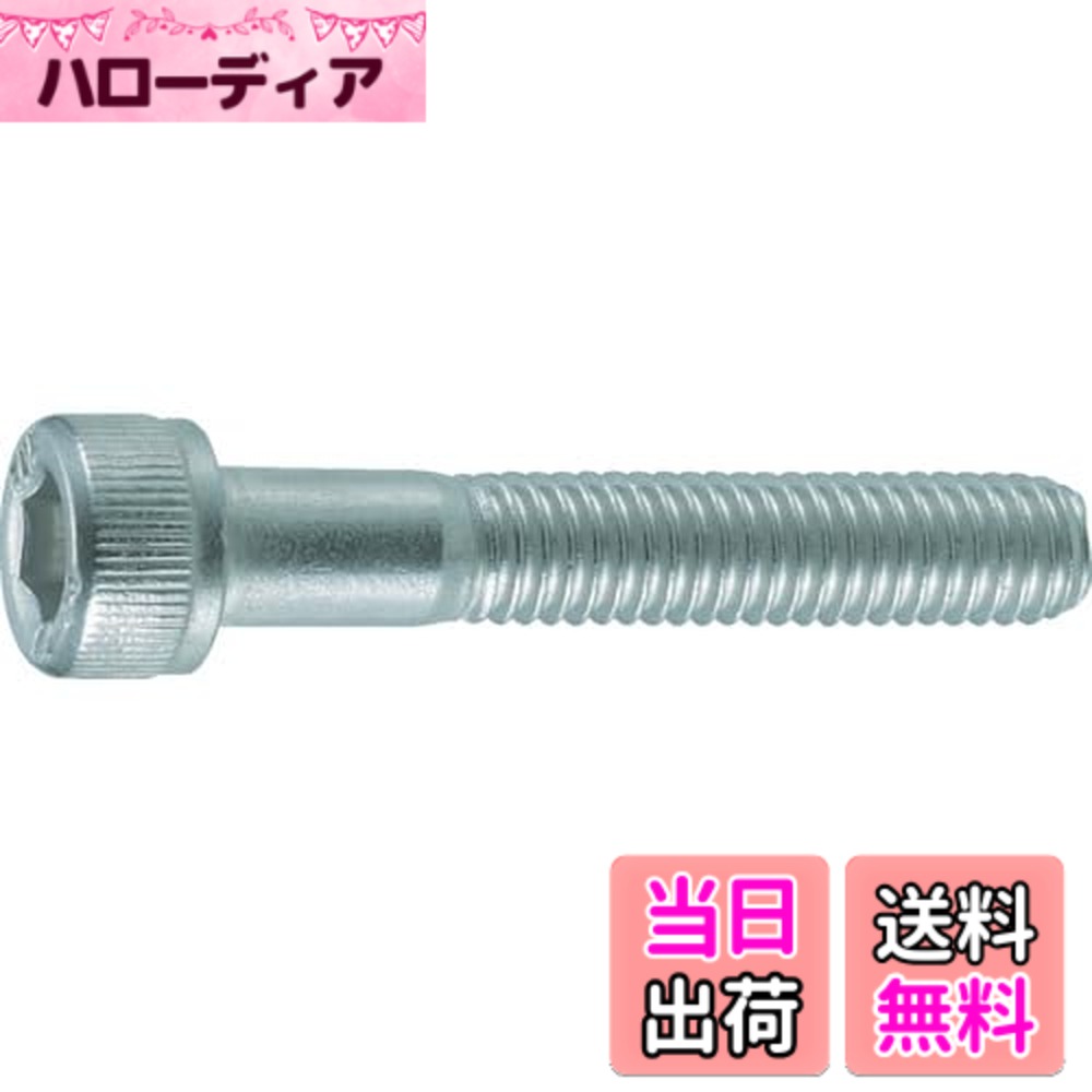 【貨物輸送無料】TRUSCO(トラスコ) 六角穴付雄螺旋 ステンレス鋼 大きさ：M5x40