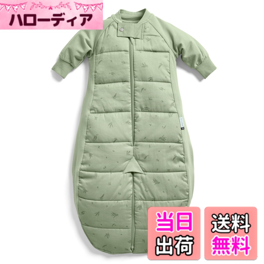 【送料無料】[ergoPouch] エルゴポーチ スリープスーツバッグ Sleep Suit Bag 【正規品】 スリーパー 色：ウィロー、サイズ：2-4Y｜ハローディア店
