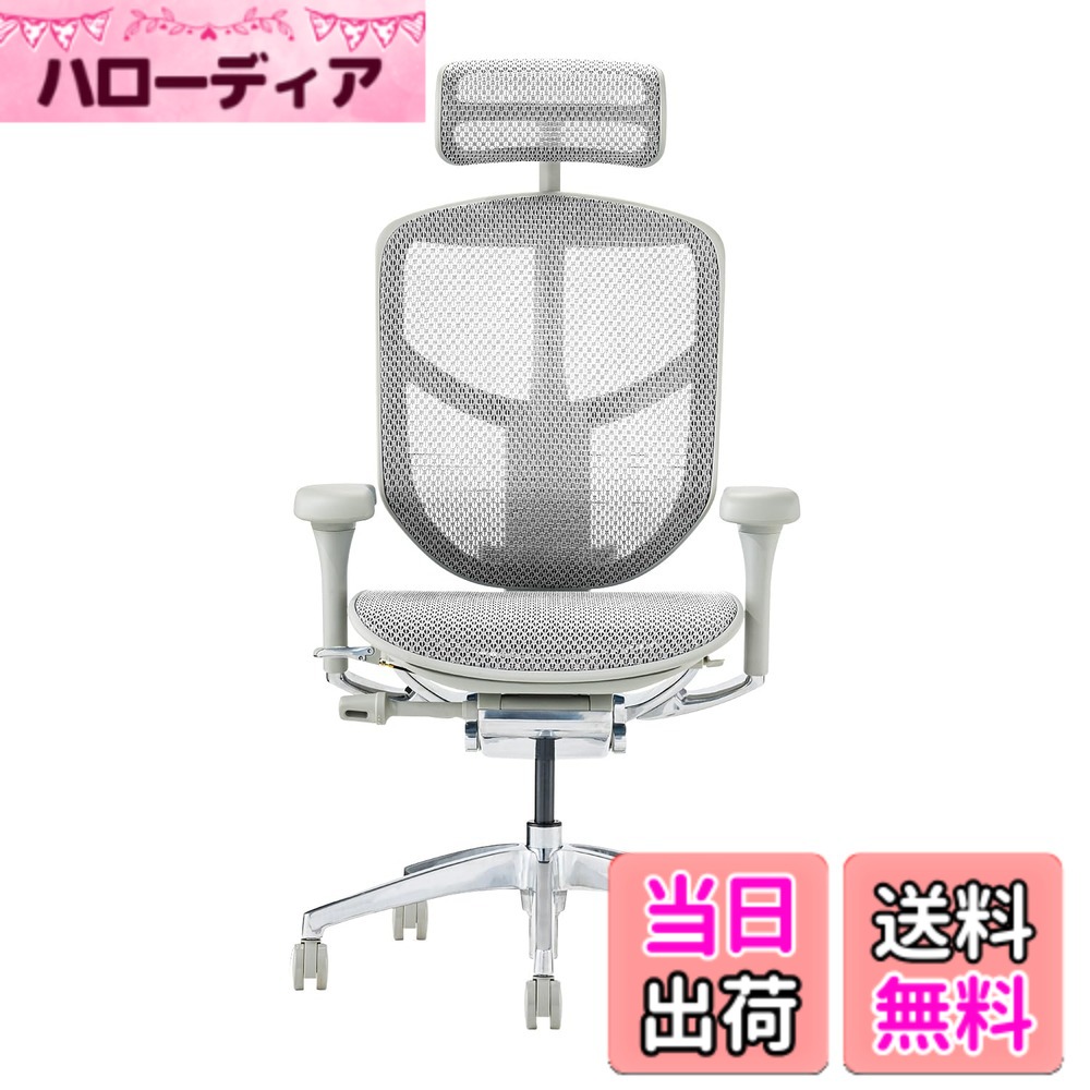 【貨物輸送無料】エルゴヒューマン2(ergohuman2) 事務室女性議長 ENJOY 喜ばせる 色：メッシュ:薄墨色 / ひな型:薄墨色、大きさ：ご機嫌手あい