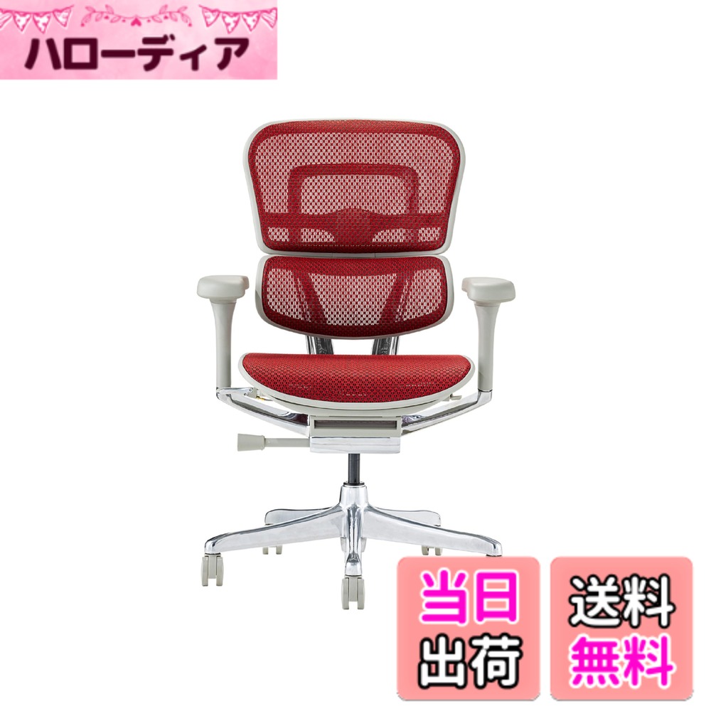 【送料無料】エルゴヒューマン2(Ergohuman2) オフィスチェア 色：フレーム:GRAY / メッシュ:RED、サイズ：ロータイプ｜ハローディア店